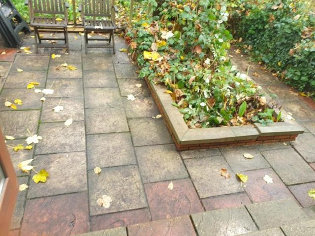 2 Bed Garden Flat West Dulwich Free Street Parking Appartement Londen Buitenkant foto